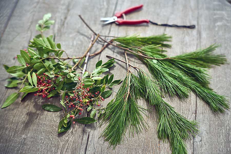 Winter greenery