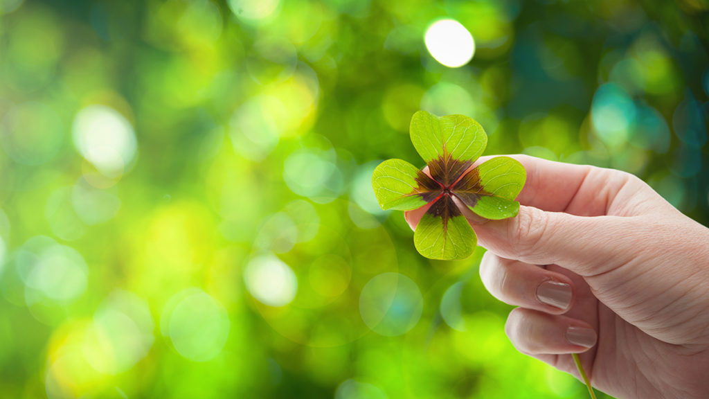 Four leaf clover