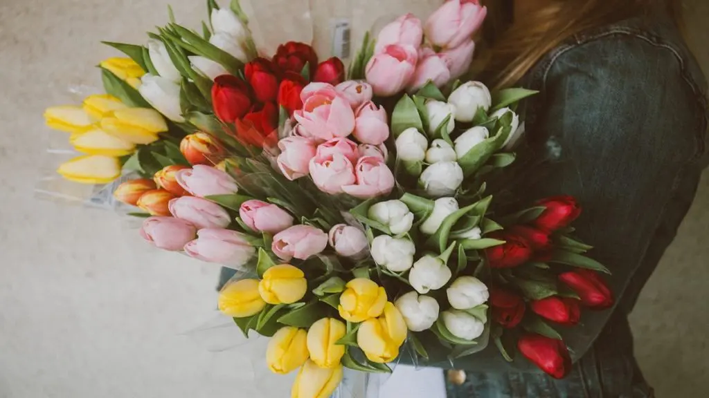 https://www.1800flowers.com/blog/wp-content/uploads/2021/03/Woman-with-tulips-1-1024x576.jpg.webp