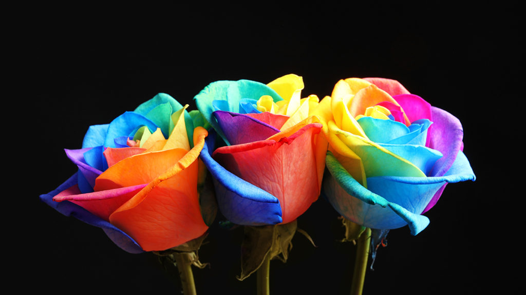 https://www.flowers.com/blog/wp content/uploads///Flowers Rainbow Header x