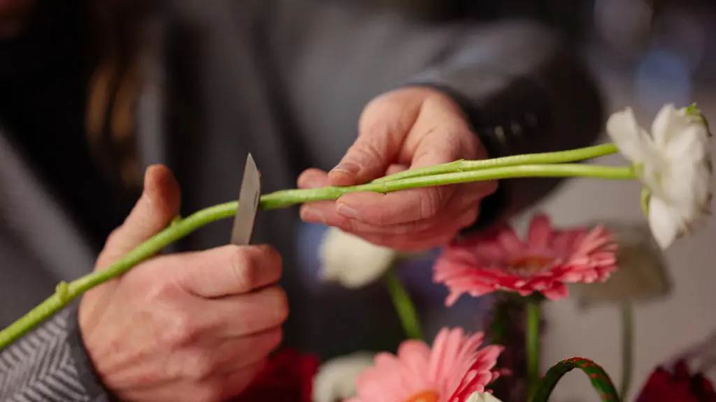 https://www.flowers.com/blog/wp content/uploads///P Fowler cuttingflowers x