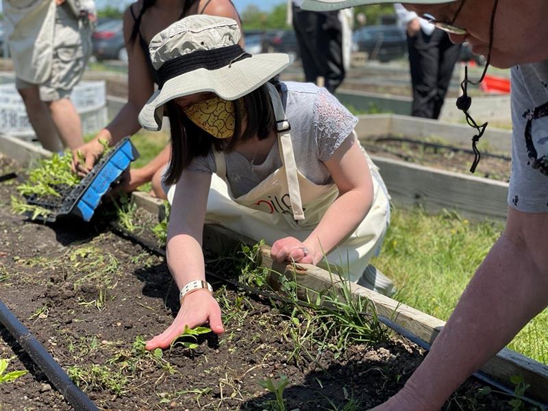 https://www.flowers.com/blog/wp content/uploads///smile farms planting peppers