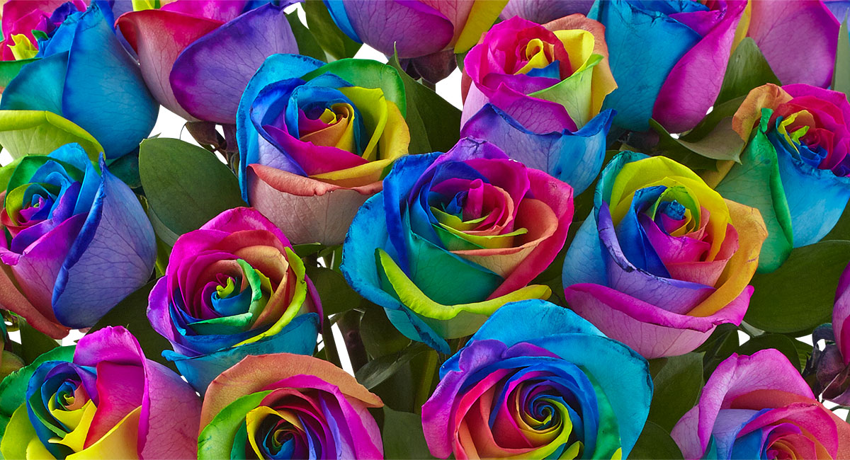 https://www.flowers.com/blog/wp content/uploads///Rainbow Bouquet