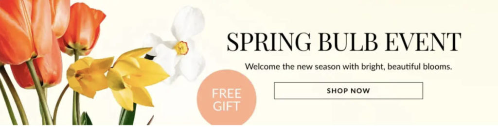 Picture of banner ad for spring bulb event