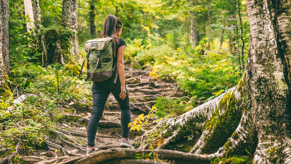 Photo of public tragedy with a woman walking through a forest