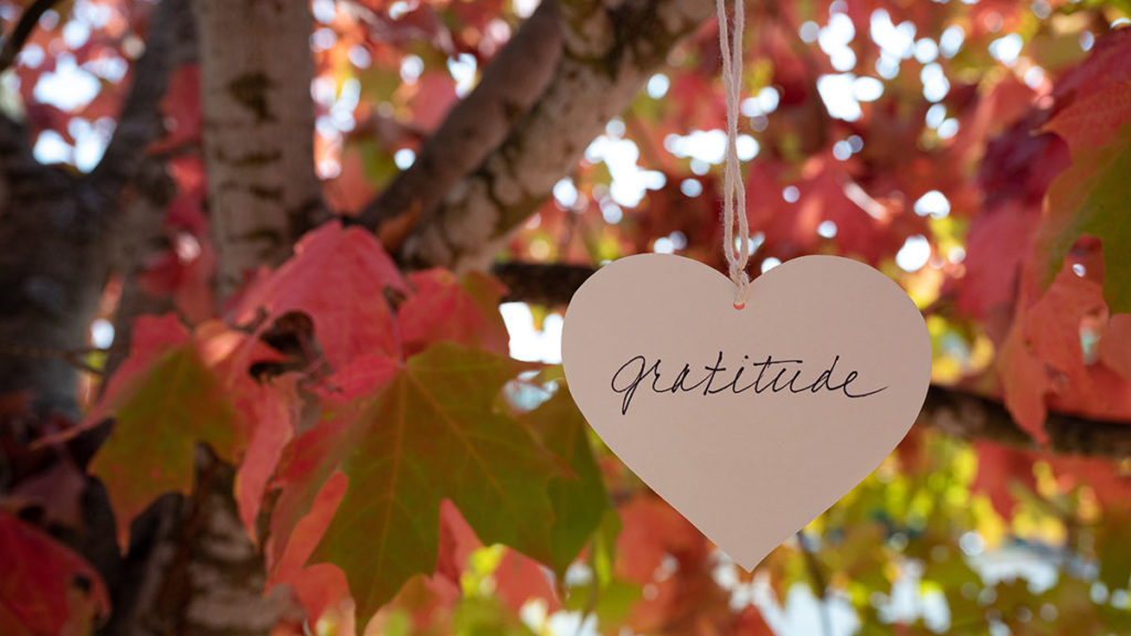 https://www.flowers.com/blog/wp content/uploads///thanksgiving quotes with gratitude sign hanging from tree x