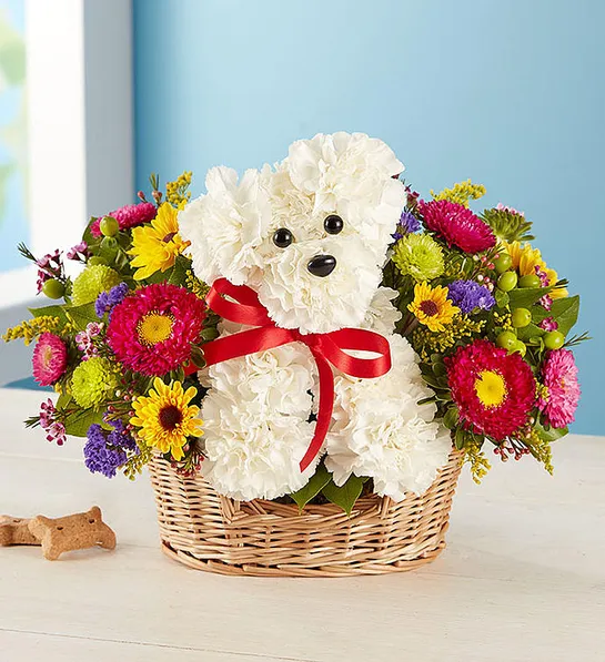 gifts for dog lovers a DOG able in a Basket