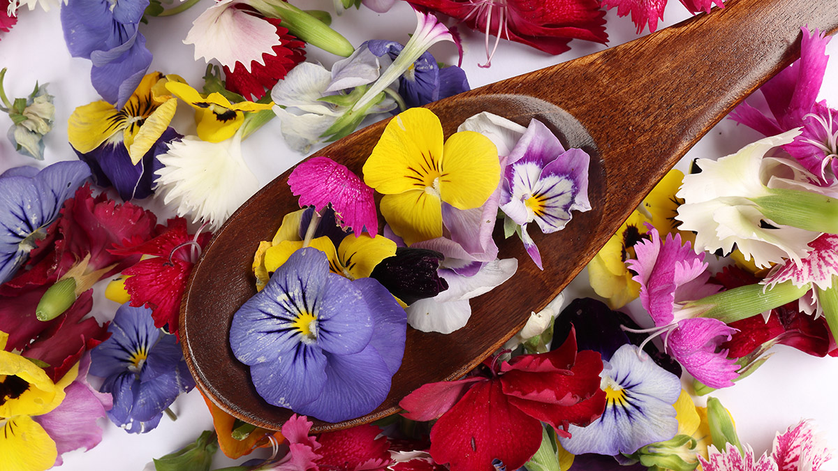 february birth flowers violets on wooden spoon