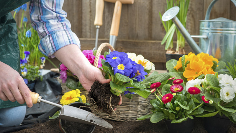 gardening quotes woman planting flowers