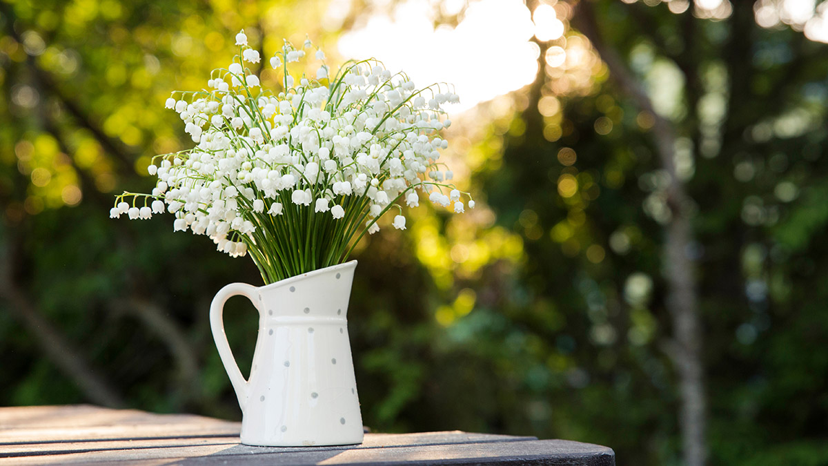 Bouquet of white flowers Lily of the valley Convallaria majalis