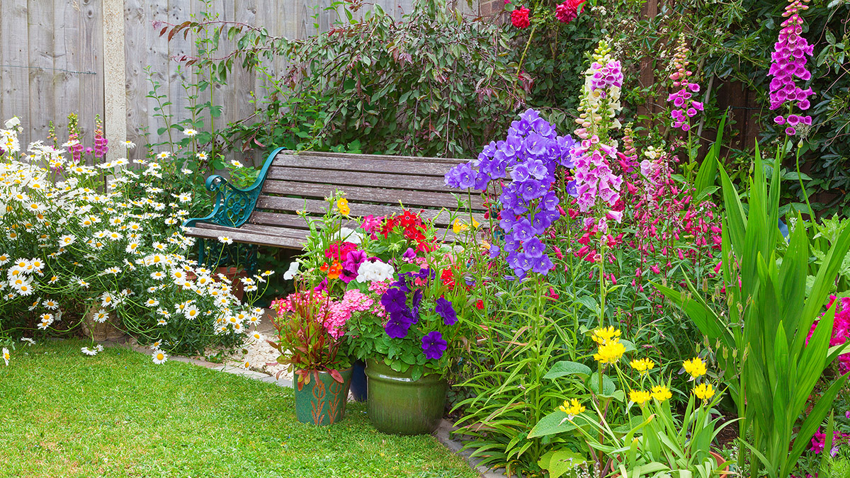 Cottage garden with bench and containers full of flowers